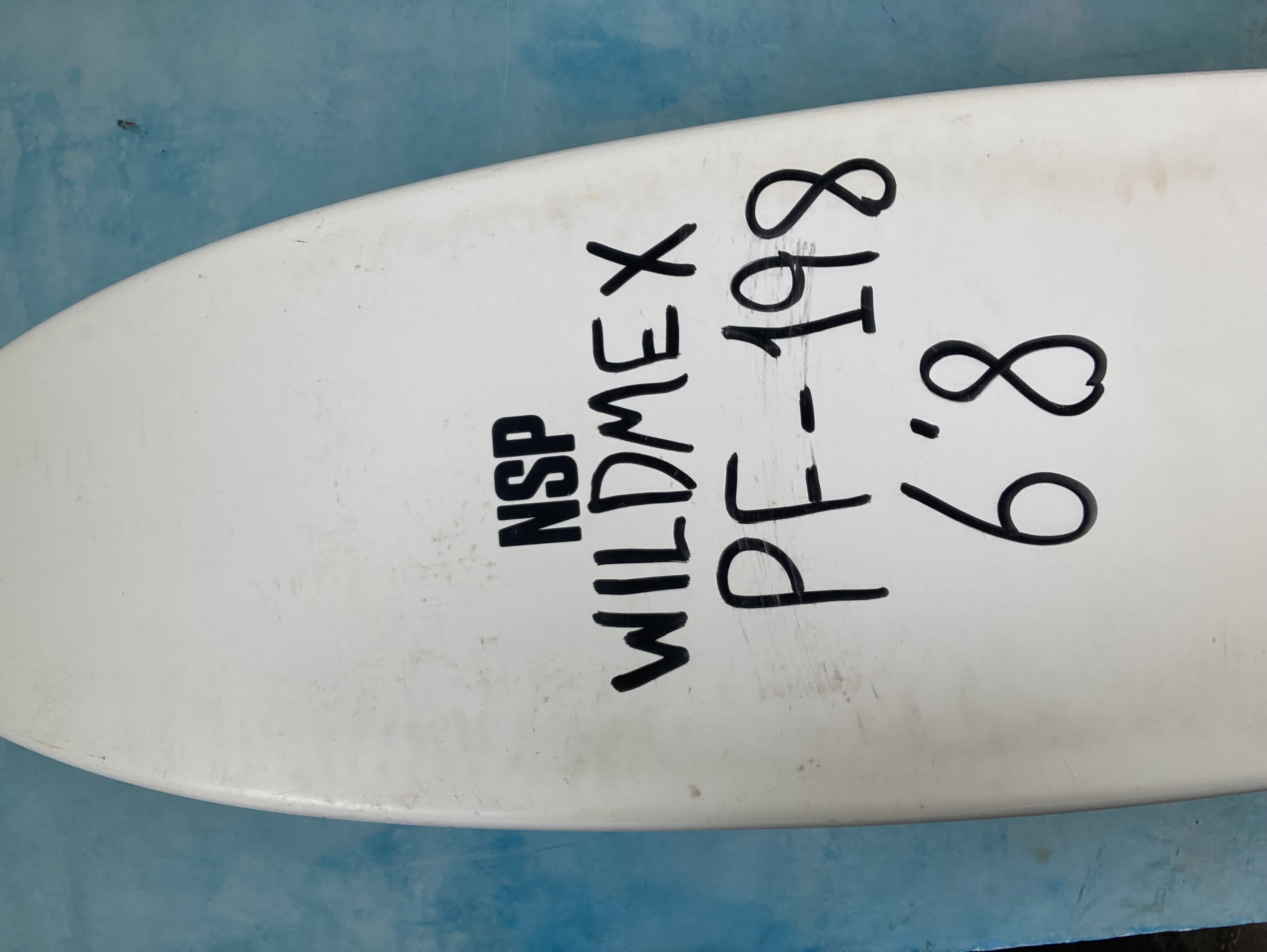 Back image