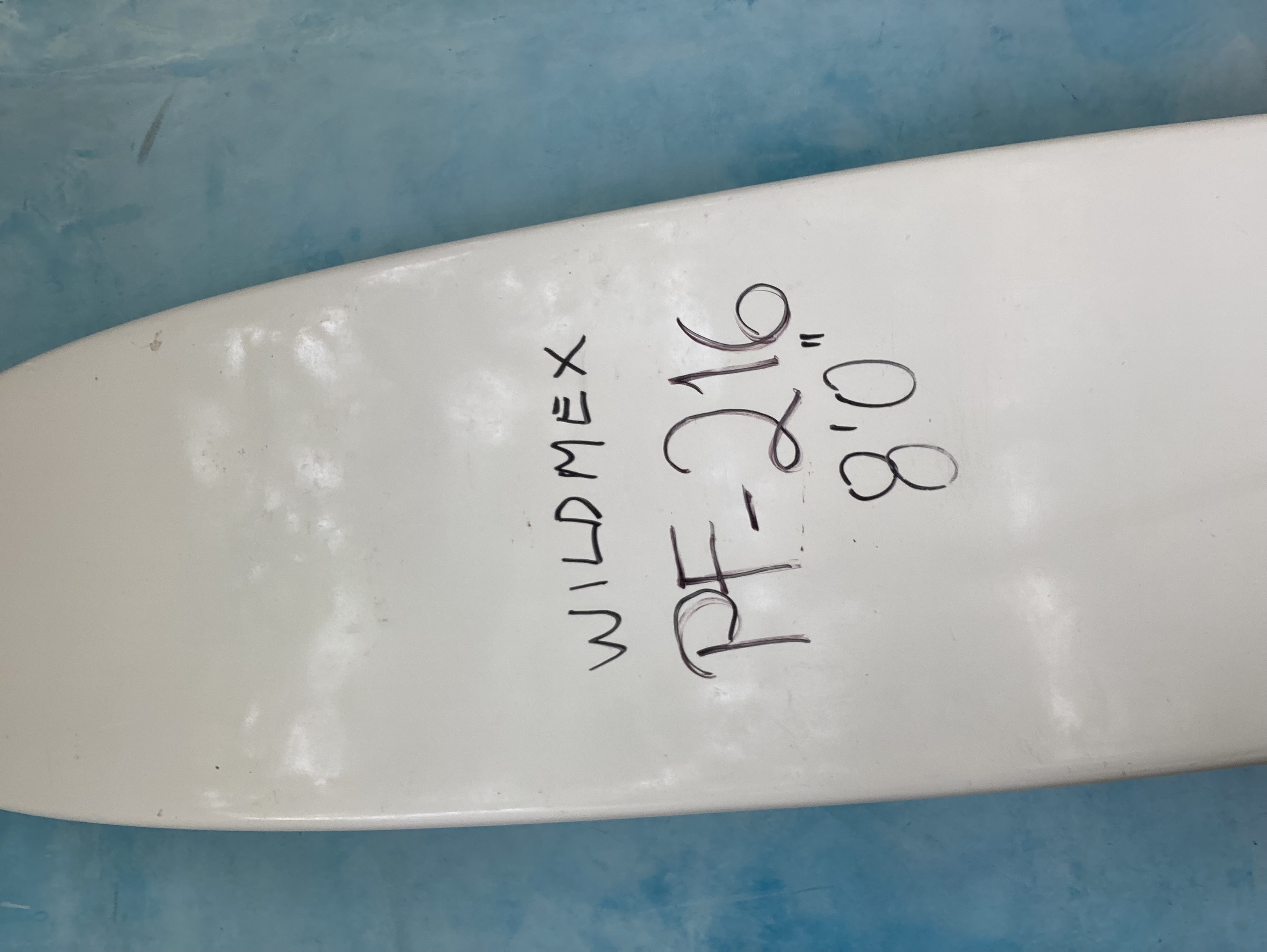 Back image