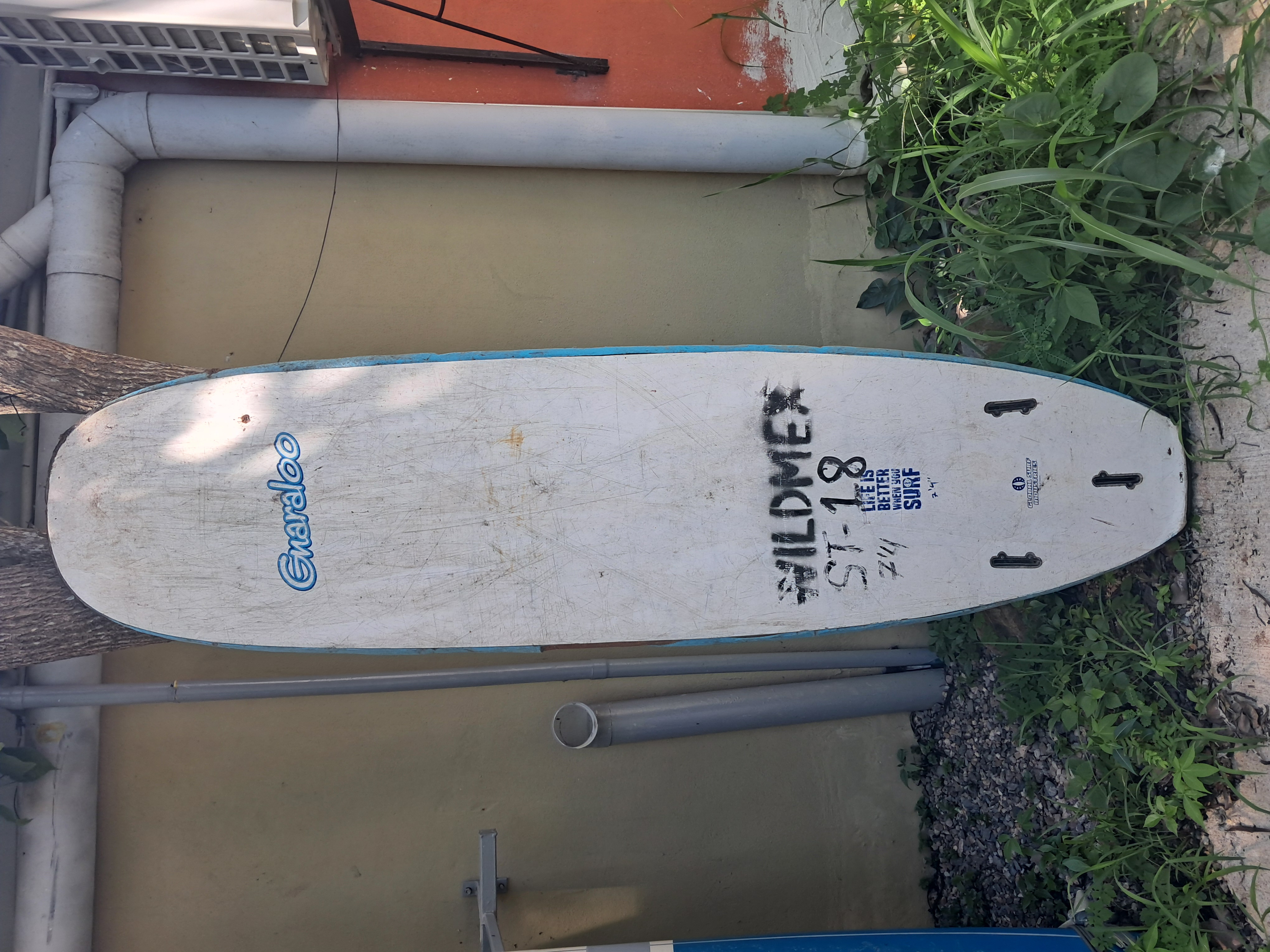 Back image