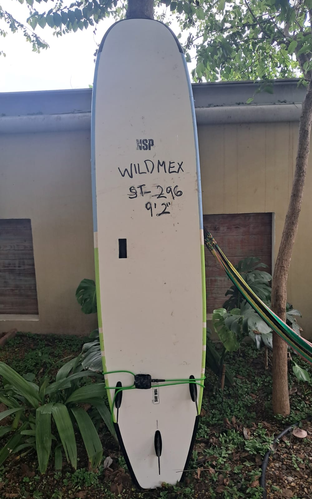 Back image