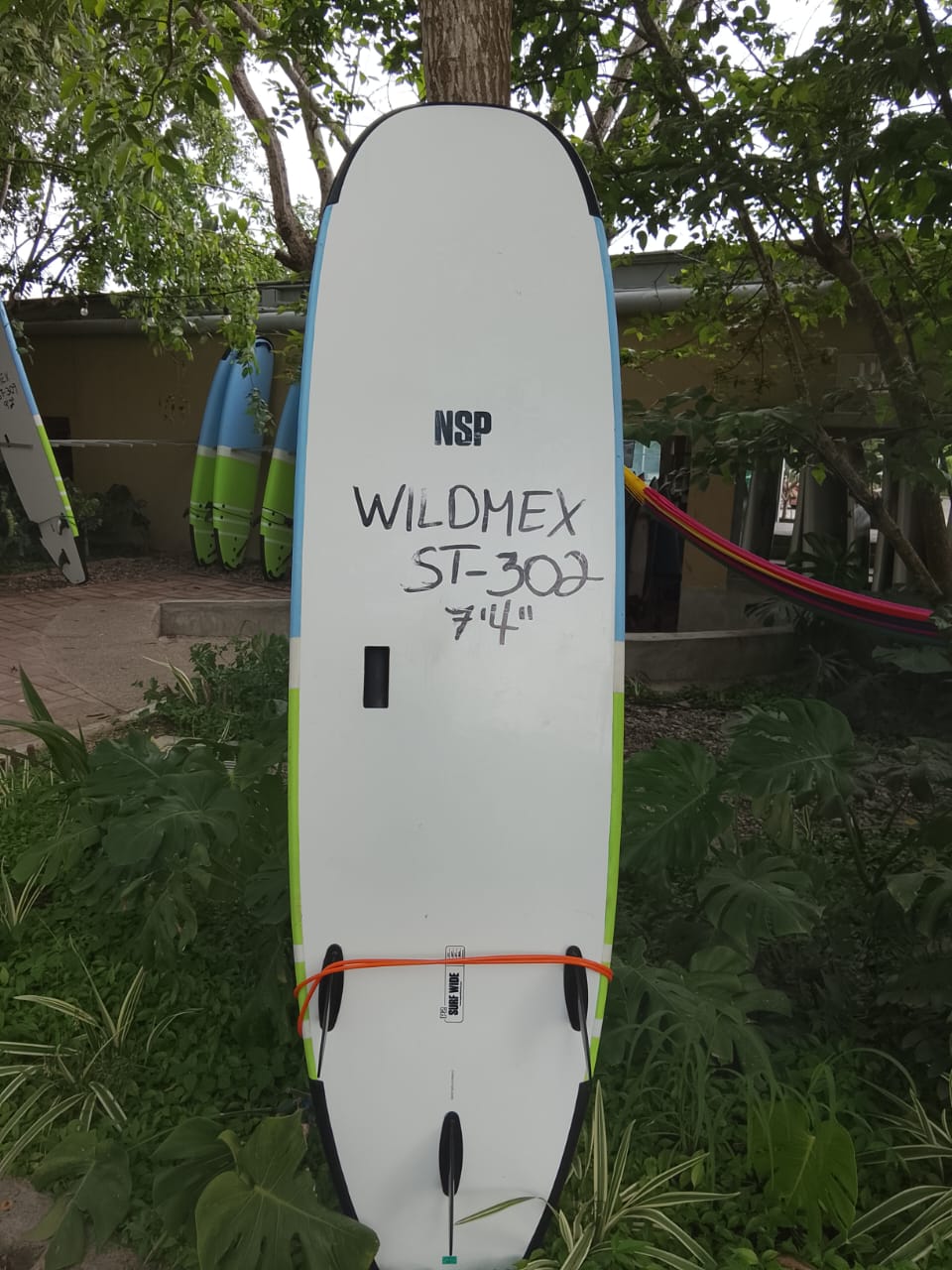 Back image