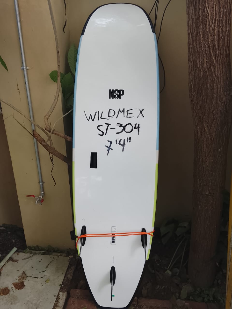 Back image