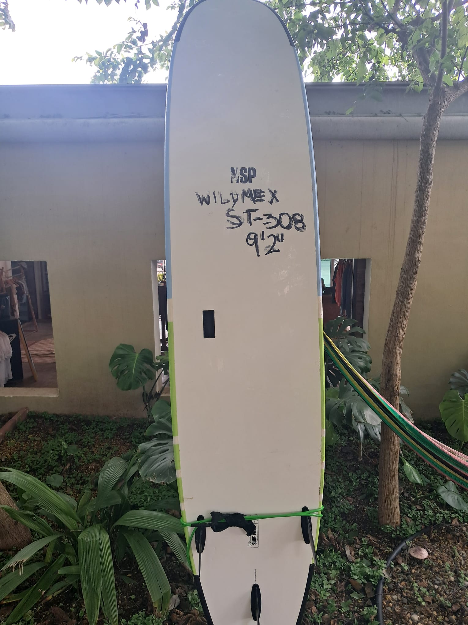 Back image