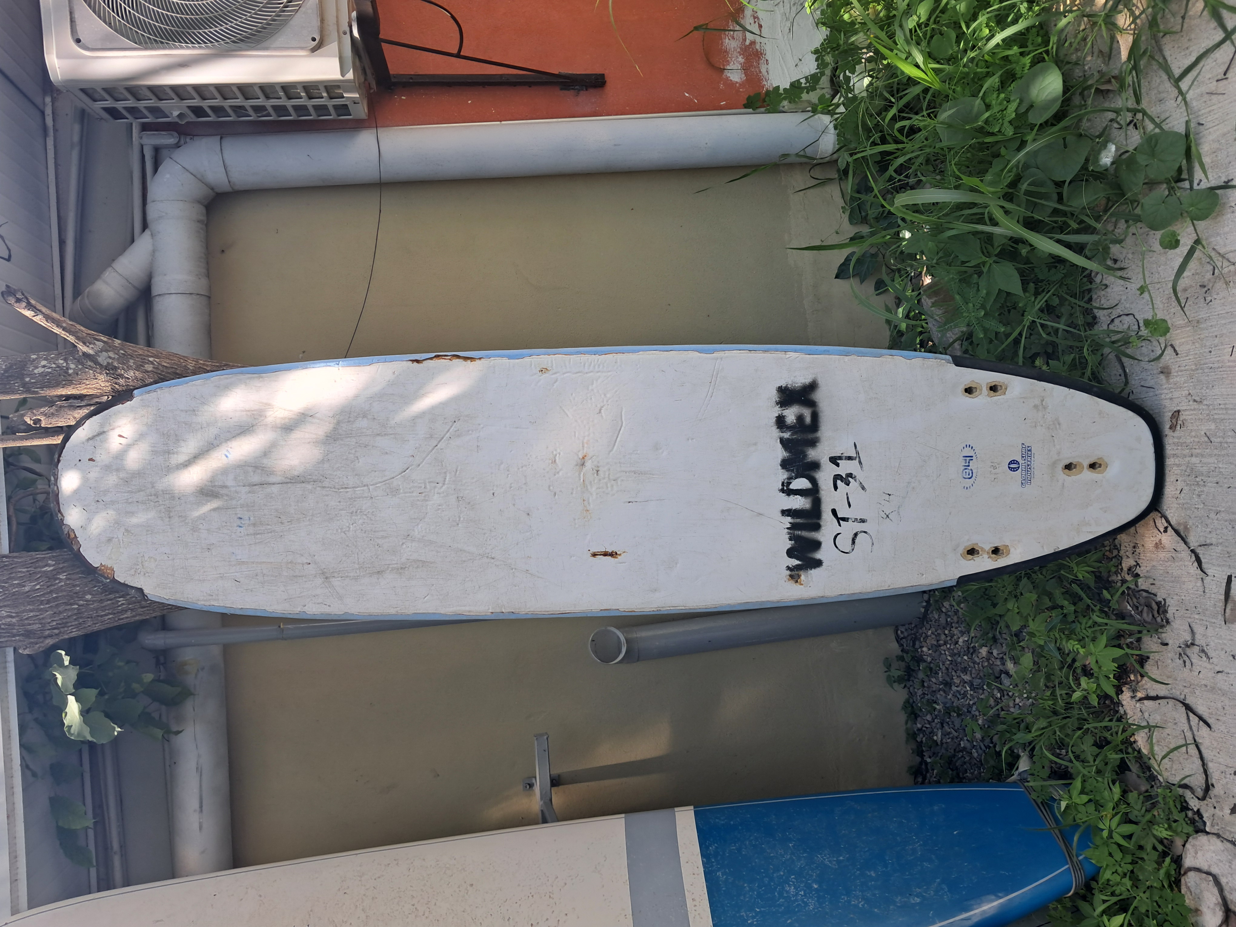 Back image