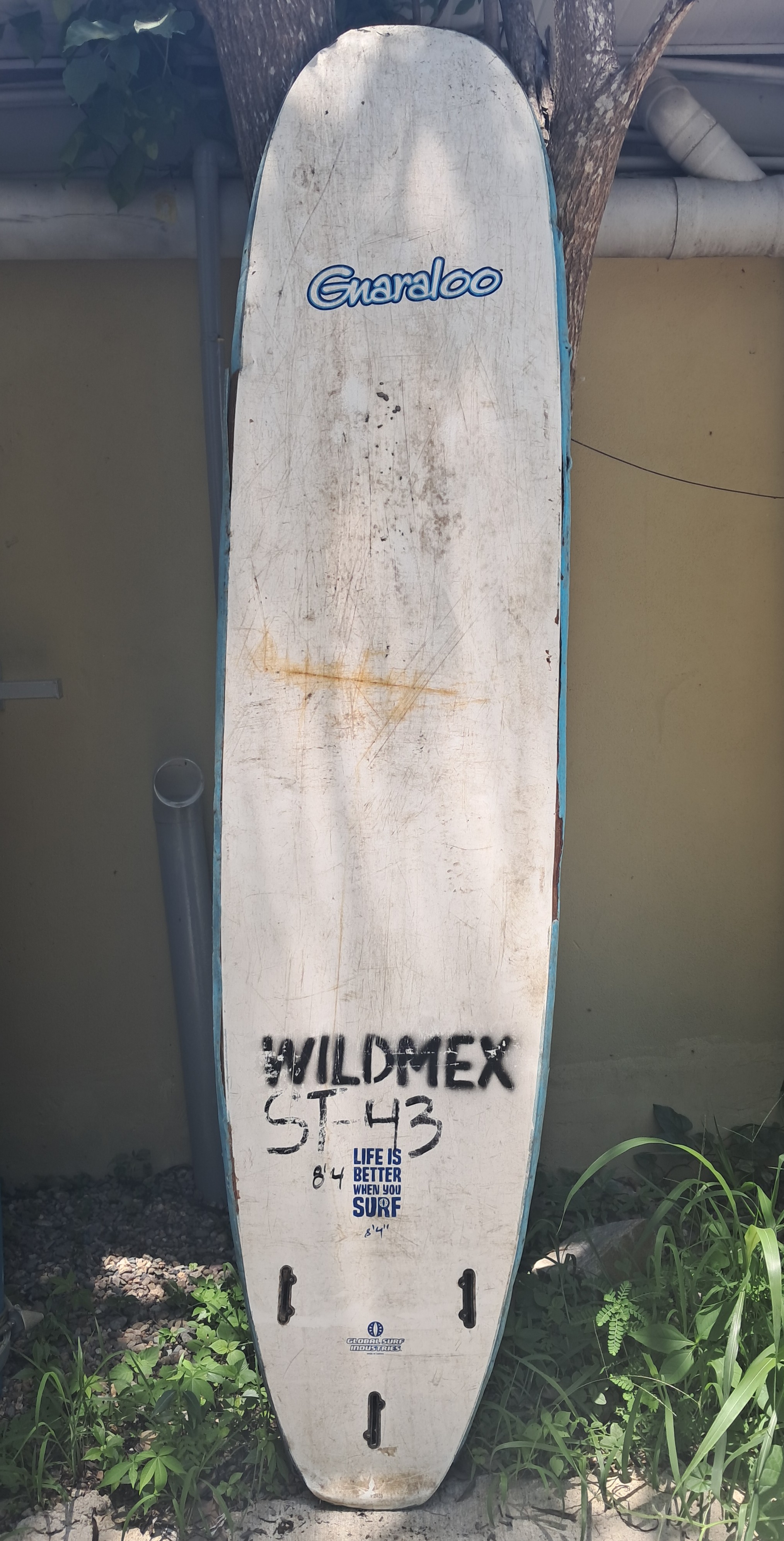 Back image