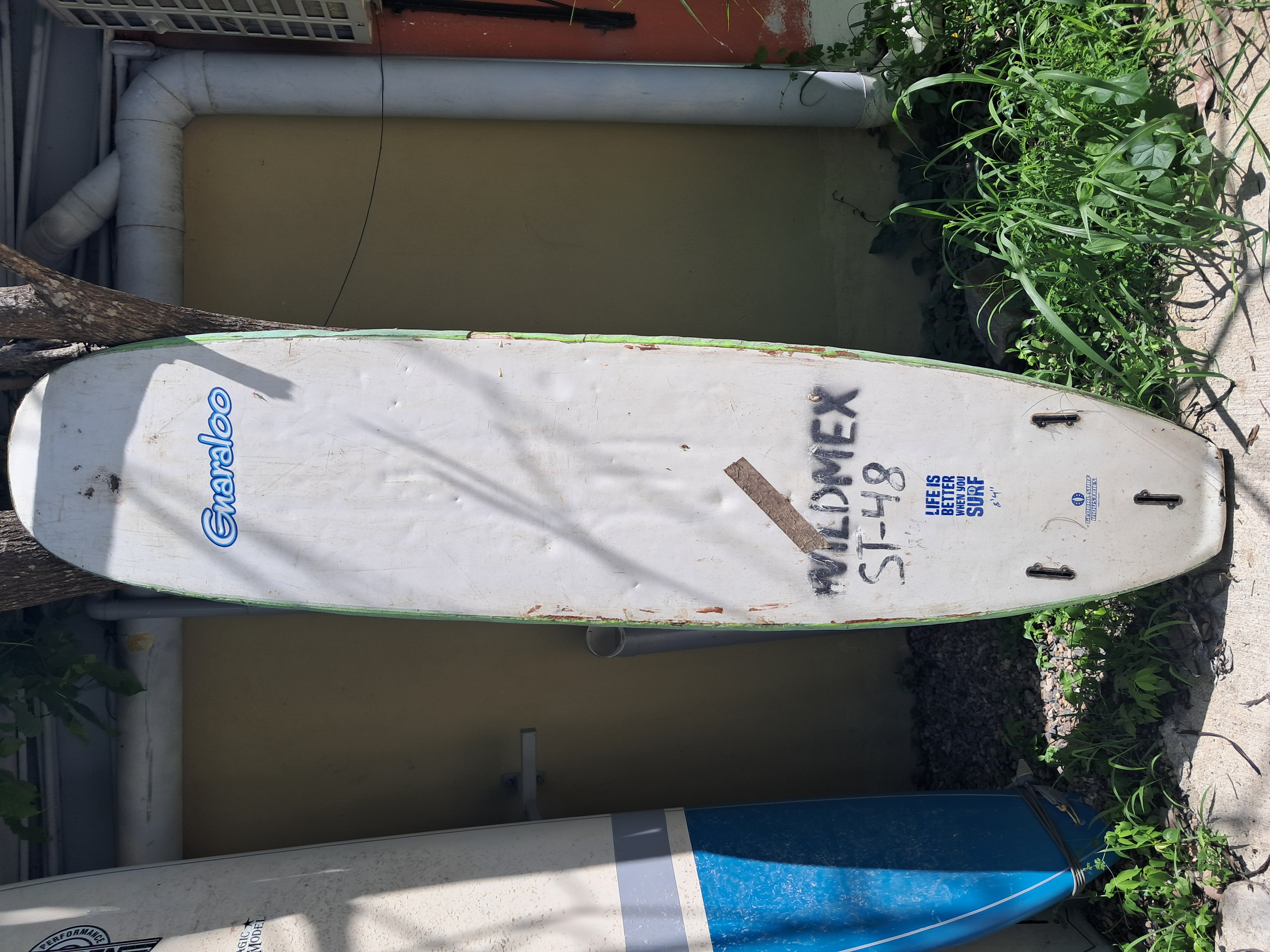 Back image