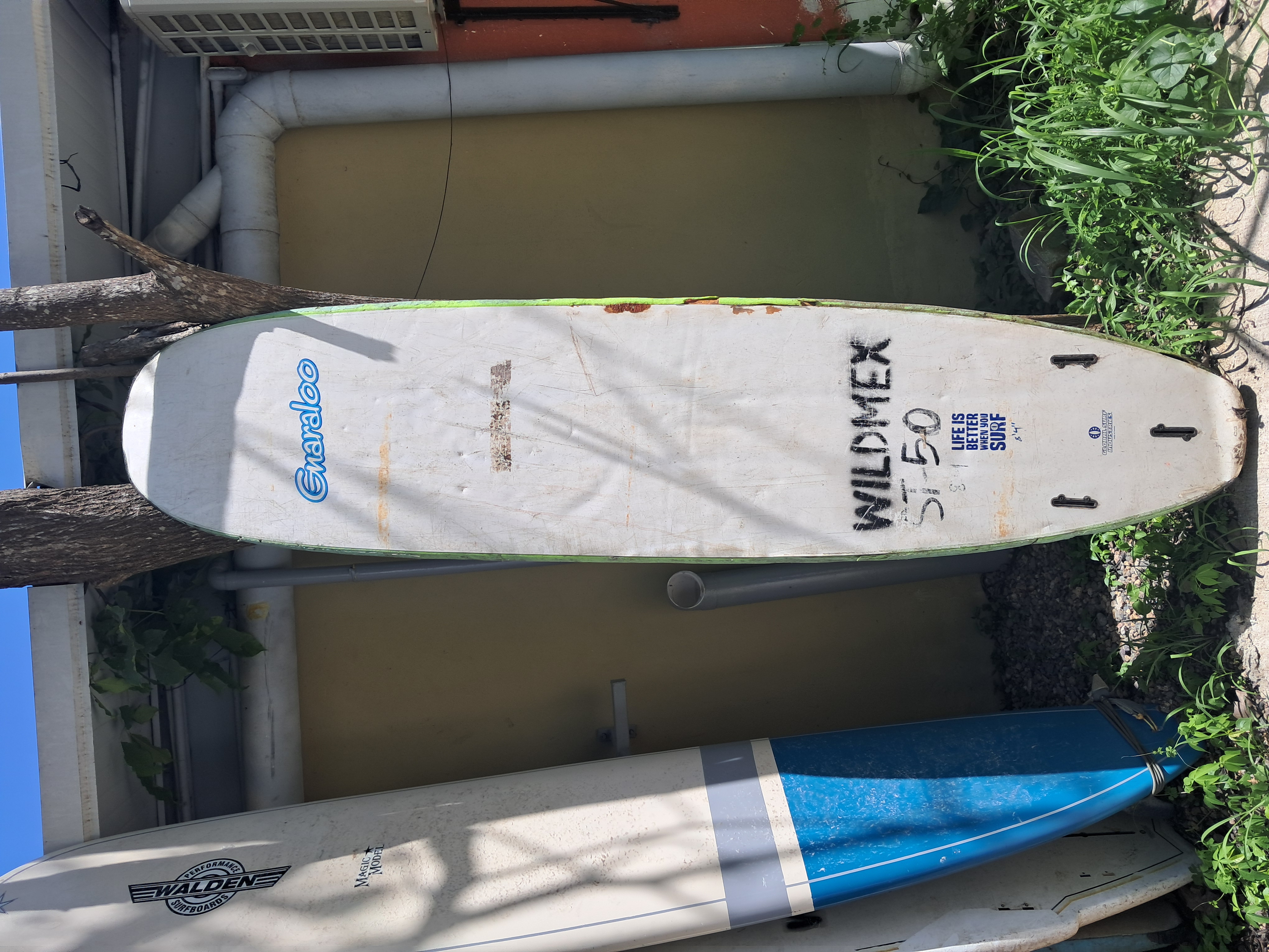 Back image