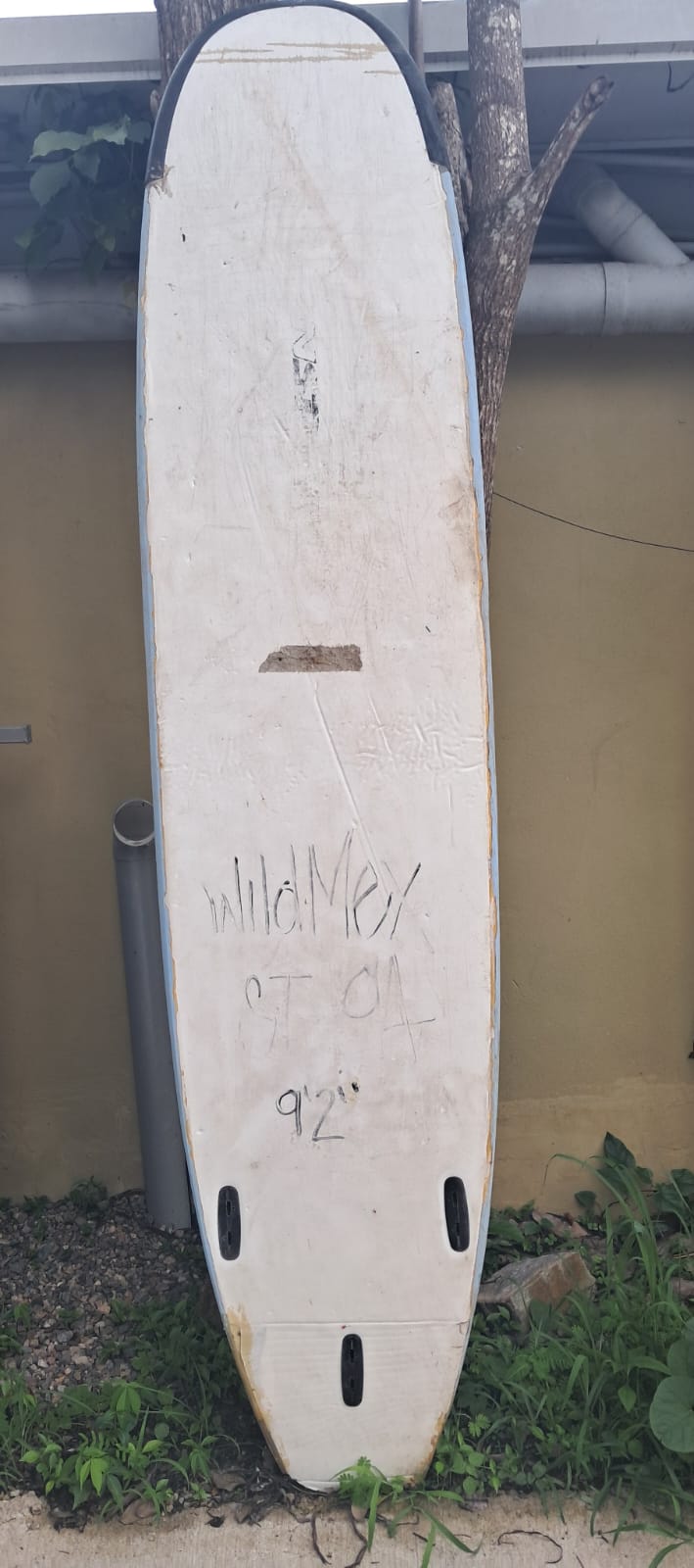 Back image